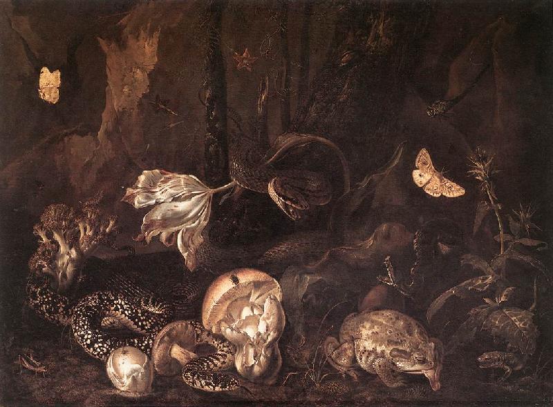 SCHRIECK, Otto Marseus van Still-Life with Insects and Amphibians ar Spain oil painting art